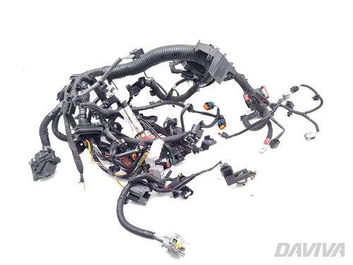 Nissan juke engine - engine, wiring
