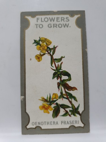 Lea cigarette card - r,