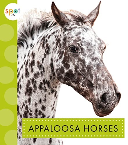 Appaloosa horses spot - appaloosa, (spot