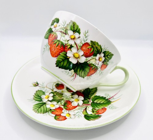 Shelley strawberry dogwood - strawberry,