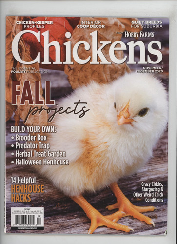 Chickens november december - chickens,