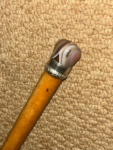 Antique petite walking stick - walking,