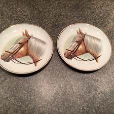 Pair Of  Small Plates Royal Tudor Ware Barker Bros  Stoke On Trent