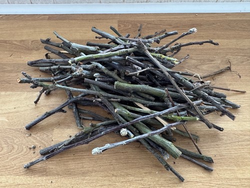 250g apple wood chew sticks - apple,