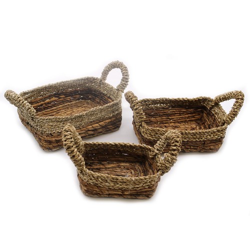 Banana leaf seagrass - banana,