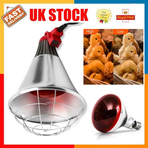 Infrared heat lamp poultry - heat,