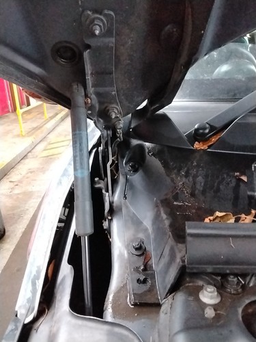 Bonnet hinge mini - bonnet,