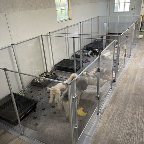 Acrylic indoor dog playpen - acrylic,