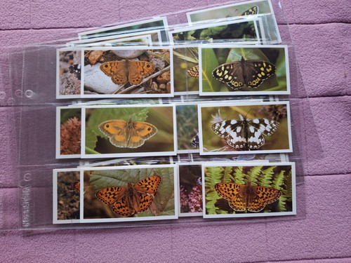 Complete set doncella - complete,