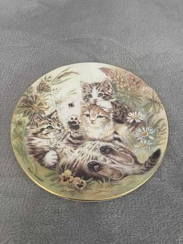 Royal worcester collector - royal, collector's