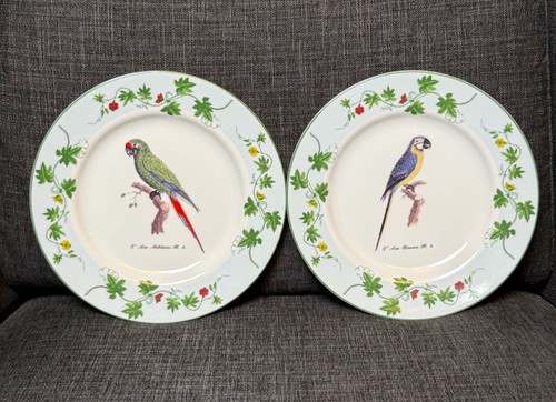 Set andrea sadek - andrea,