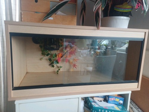 Vivarium terrariumwith - vivarium,
