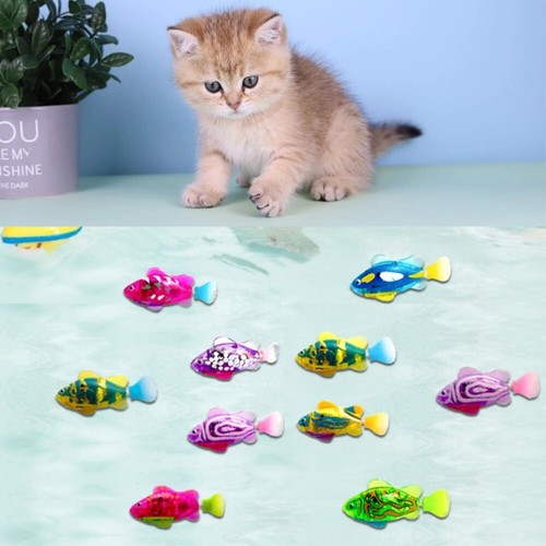 Led cat interactive - interactive, with