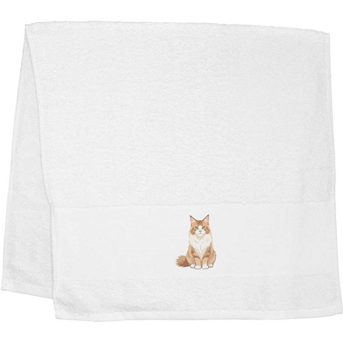Anime maine coon cat hand - 'anime,