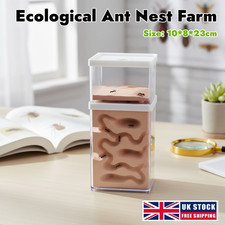 Acrylic Insect Ant Moisture