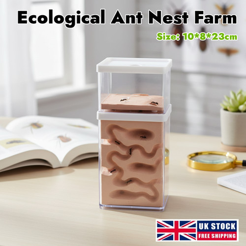 Acrylic insect ant moisture - acrylic,