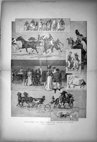 Old 1899 horses sport trotting - 1899,