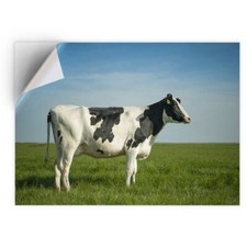1 x Vinyl Sticker A5 - Dairy Cow Cattle Farm Farmer Milk  #15895
