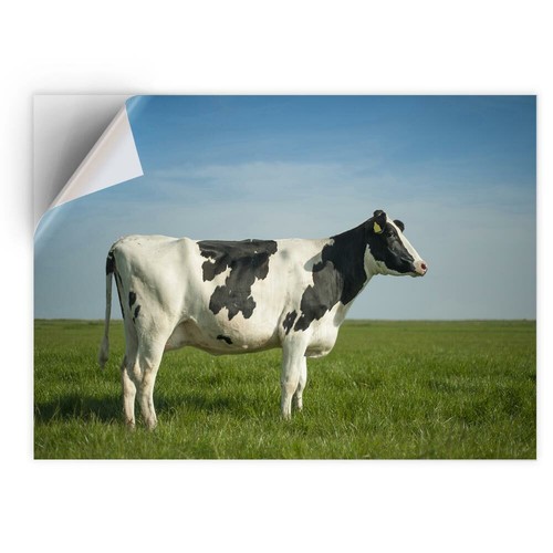 Vinyl sticker dairy - 1,