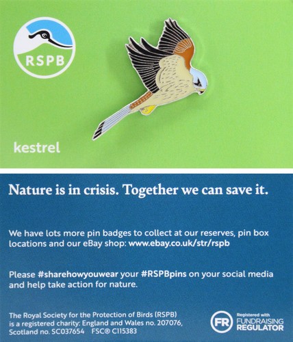 Rspb pin badge niic kestrel - rspb,
