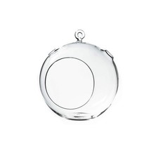 Clear Glass Terrarium Vase 7