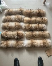 Canada Goose Coyote Fur Trim