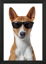 Cool Basenji Dog Wearing