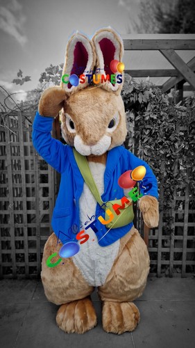 Hire london bunny - london,