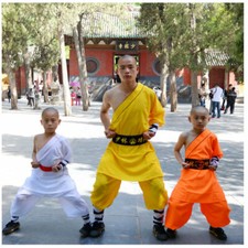 Shaolin Wushu Practicing