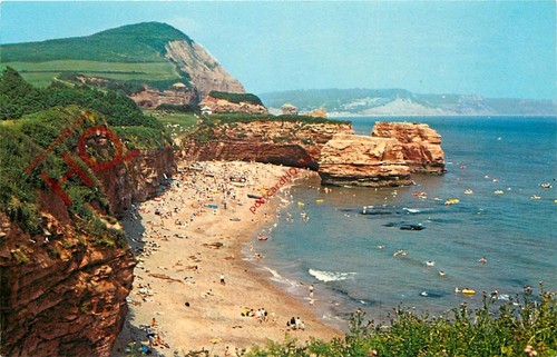 Picture postcard ladram - picture,