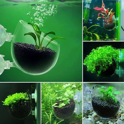 Acrylic aquatic plant cup - acrylic,