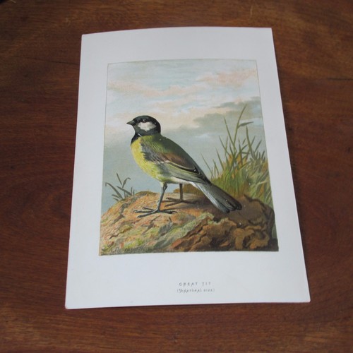 Antique victorian lithograph - victorian,