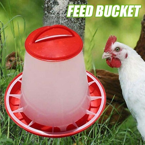 Small plastic food - plastic, feeder
