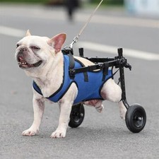 Pet Walk Booster Dog Wheelchair Disability Adjustable Dog Hind Legs Bracket