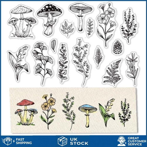 Elegant mushroom and spring - mushroom,