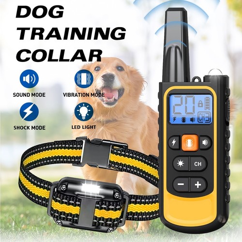 Electric dog pet training - dog,