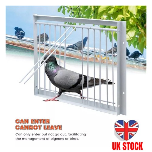 Removable pigeon entrance door - removable,
