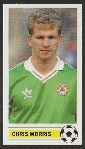 Gateaux irish world cup - gateaux-irish,