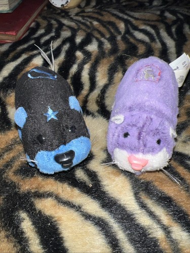 Zhu pets - zhu,