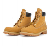 Timberland Premium Men's