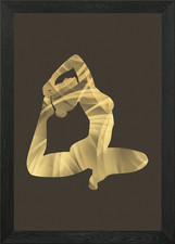 One Legged King Pigeon II