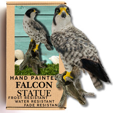 Peregrine Falcon Highly