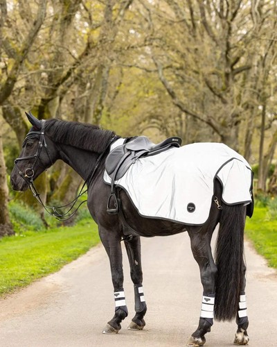 Lemieux reflective exercise - lemieux,