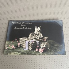 Vintage Postcard Colorized Photo Of  3 Kittens Sitting With A Basket