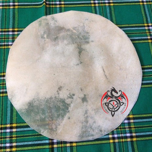 Calf skin drum - calf, head