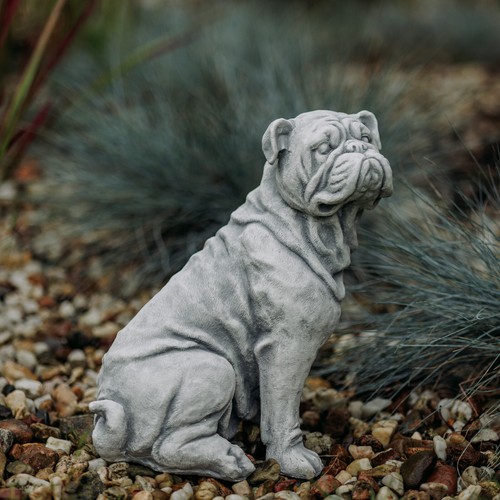 English bulldog dog - english,