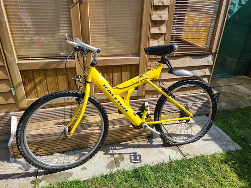 Raleigh max mountain - max,
