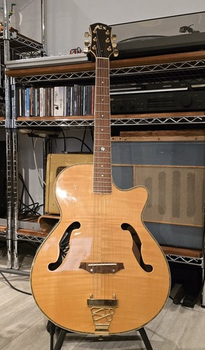 Kimex 500e acoustic archtop - cs-500e,