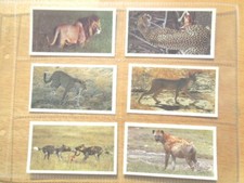 1990 Grandee AFRICAN  WILDLIFE