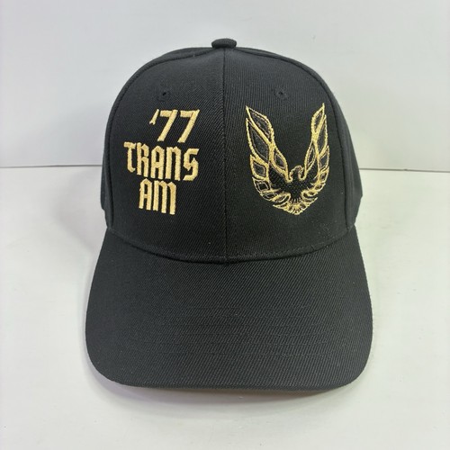 1977 pontiac trans hat 77 - pontiac, am